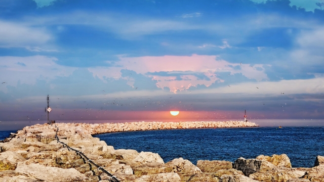 米乐M6乒乓球台中线用途